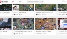 西瓜视频游戏爆料,揭秘游戏界最新动态与热门游戏